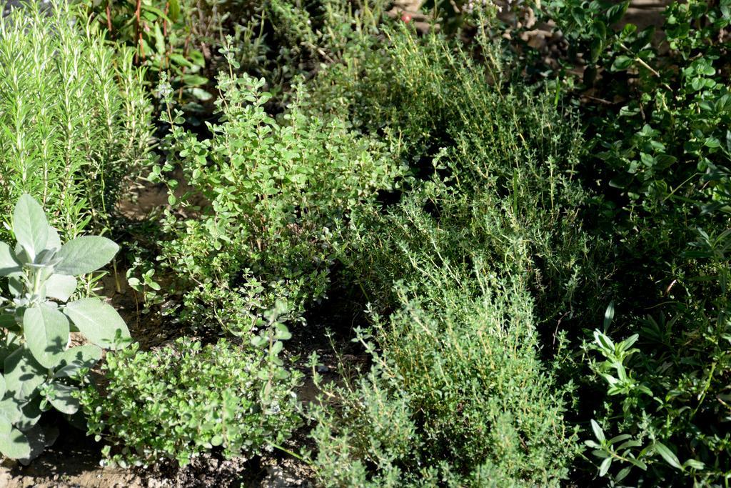 דירות קולדראנו Garnhof מראה חיצוני תמונה
